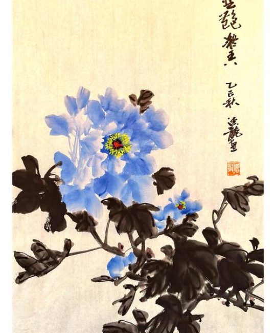 牡丹花怎么养？花期养护与盆栽种植全攻略