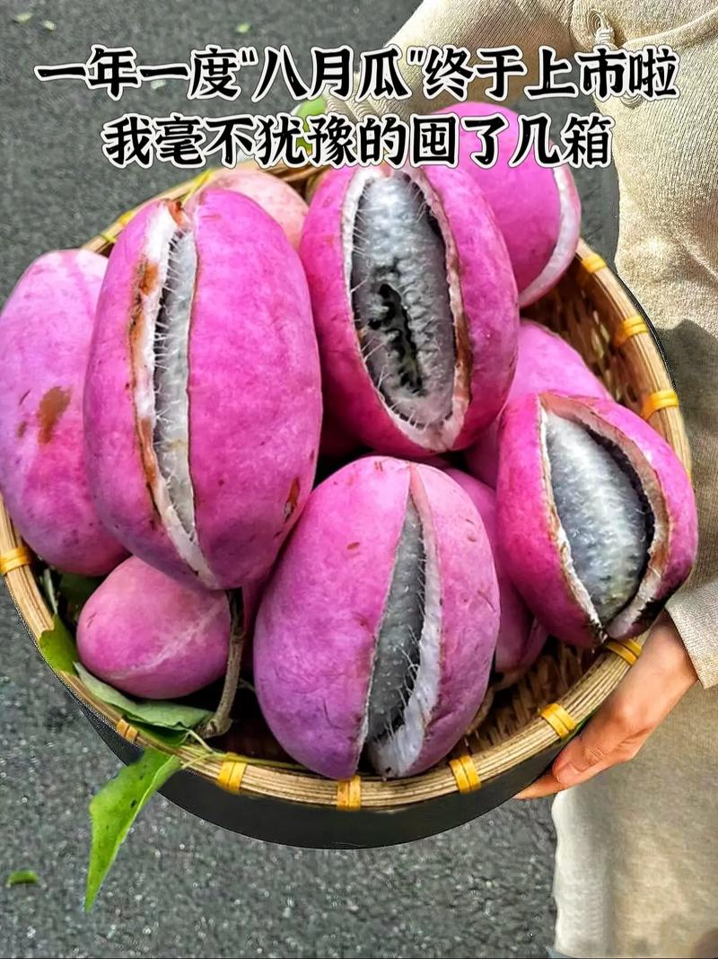 八月炸果树苗多少钱一棵?2026年价格参考与选购指南 四、季节影响分析:春秋两季价格最低,反季节价高