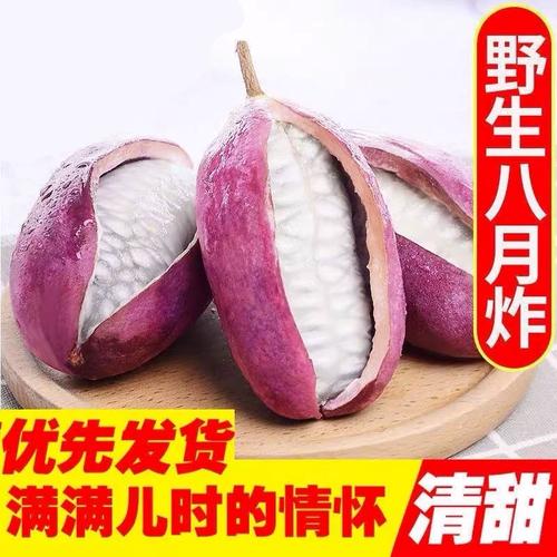 八月炸果树苗多少钱一棵?2026年价格参考与选购指南 十、咨询指南与报价引导