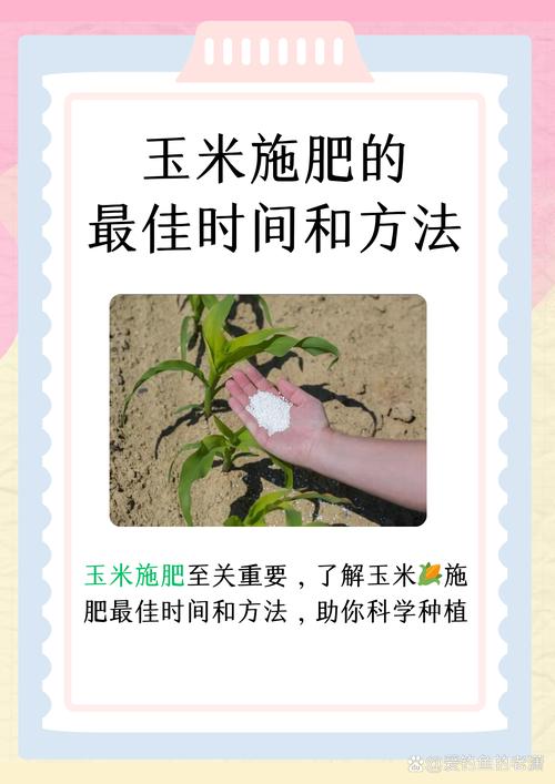 玉米弱苗如何补救 三、合理追肥,促进弱苗转壮