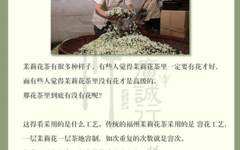 茉莉花茶什么时候出新茶——从田园到杯中的时令密码