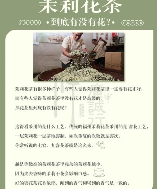 茉莉花茶什么时候出新茶——从田园到杯中的时令密码