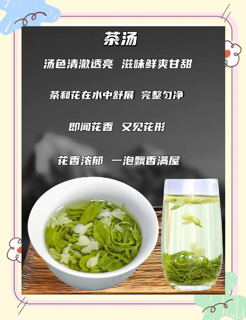 茉莉花茶什么时候出新茶——从田园到杯中的时令密码 不同产地的新茶时间差异
