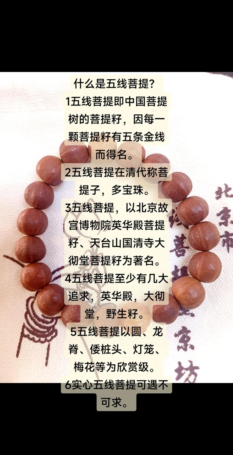 菩提树种子叫什么?详解菩提子与菩提树种子的关系及植物百科 菩提树种子叫什么?详解菩提子与菩提树种子的关系及植物百科