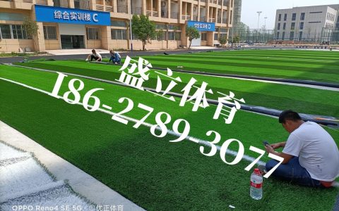 足球草坪多少钱一平方？2026年最新价格参考与影响因素全解析
