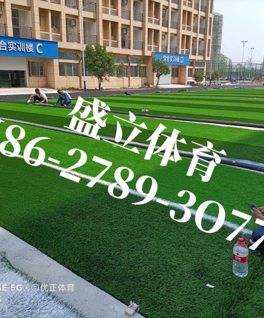 足球草坪多少钱一平方？2026年最新价格参考与影响因素全解析