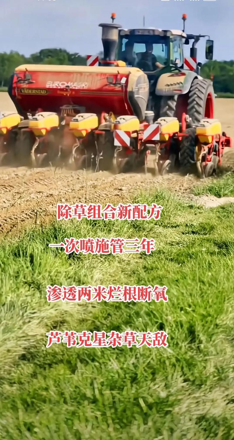 芦苇草多少钱一吨?2026年价格参考与五大影响因素详解 产地因素——东北/华北与南方产区