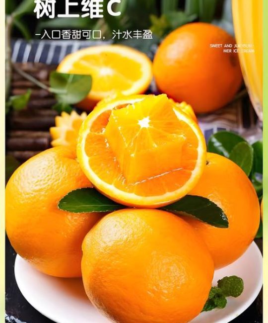 什么脐橙品种最好吃？2026年三大主流品种口感与种植对比指南