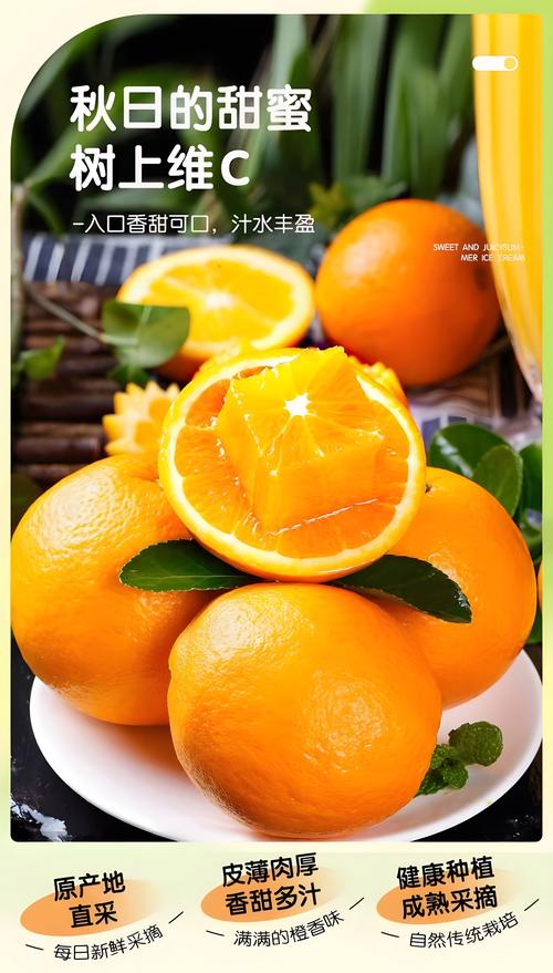 什么脐橙品种最好吃?2026年三大主流品种口感与种植对比指南 什么脐橙品种最好吃?2026年三大主流品种口感与种植对比指南
