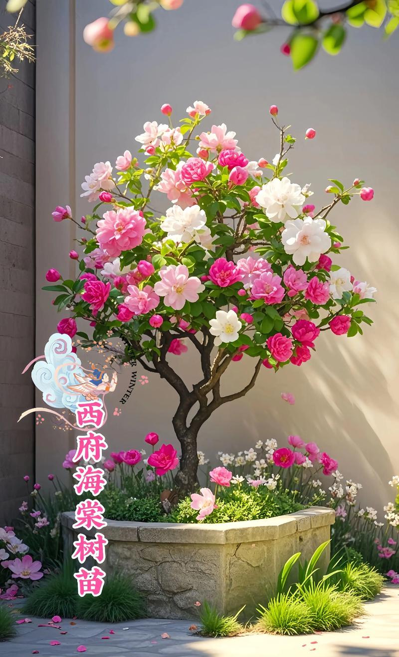 窗前种海棠树好吗?从光照、根系与观赏角度全面分析 品种基础档案:海棠树的核心参数