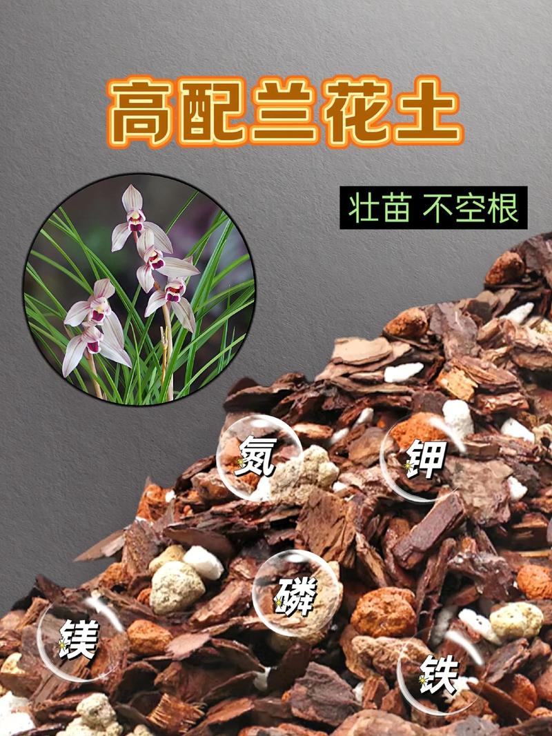 兰花用什么土养比较好?新手必看的基质选择指南 不同兰花的基质偏好