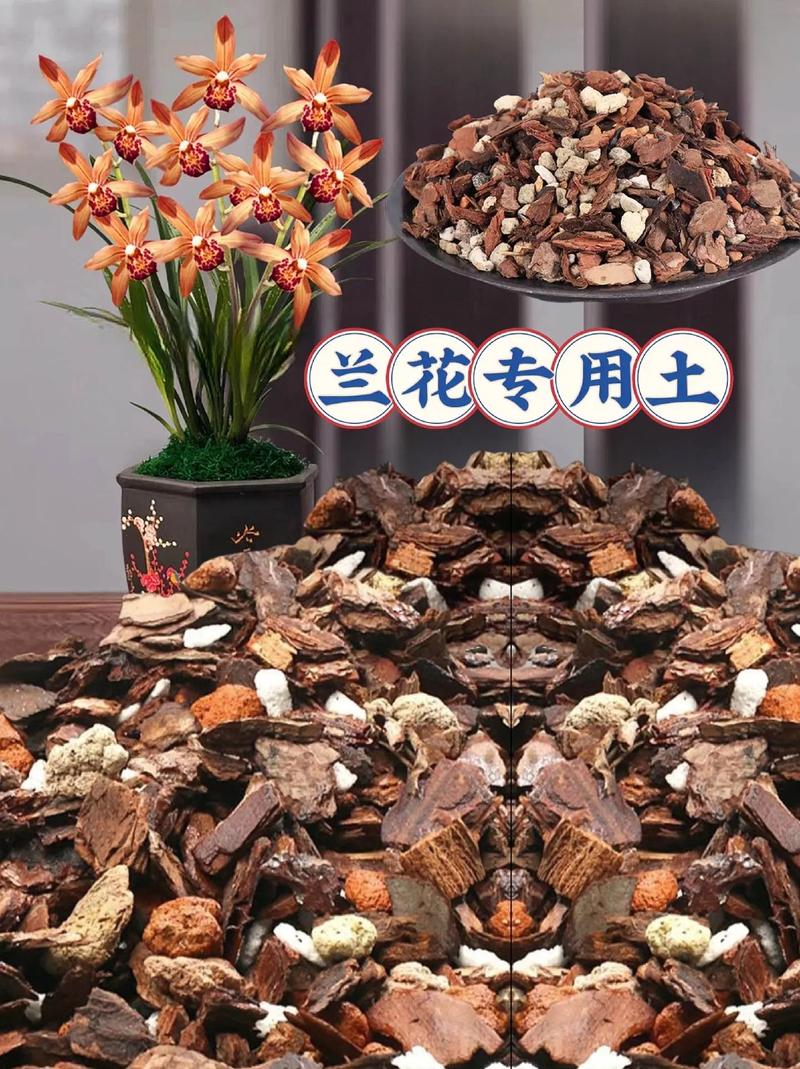 兰花用什么土养比较好?新手必看的基质选择指南 总结