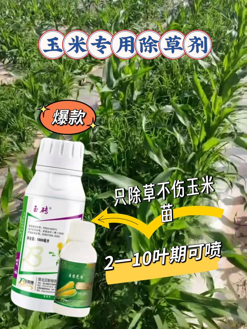 玉米苗前除草剂有哪些?安全高效的封闭除草方案 玉米苗前除草剂有哪些?安全高效的封闭除草方案