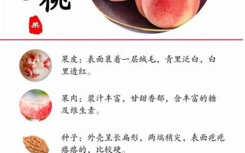 桃有什么营养价值和功效？一文读懂食用安全与禁忌