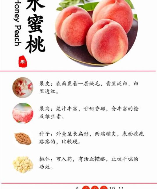 桃有什么营养价值和功效？一文读懂食用安全与禁忌