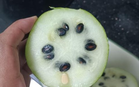 买的西瓜种子可以直接种吗？