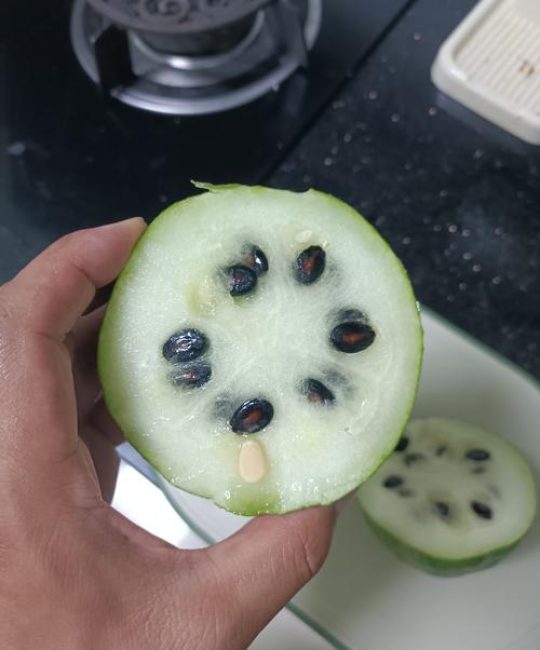 买的西瓜种子可以直接种吗？