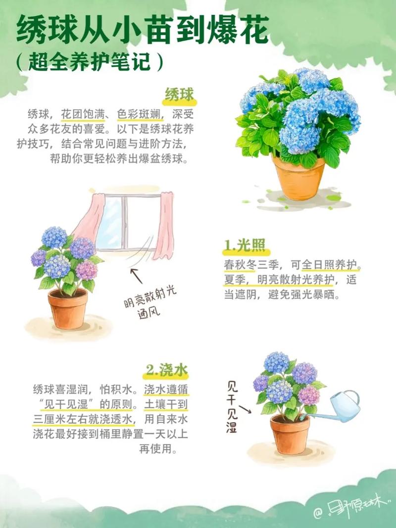 圆锥绣球花养殖指南:花色调控、光照水肥与越冬修剪全攻略 FAQ