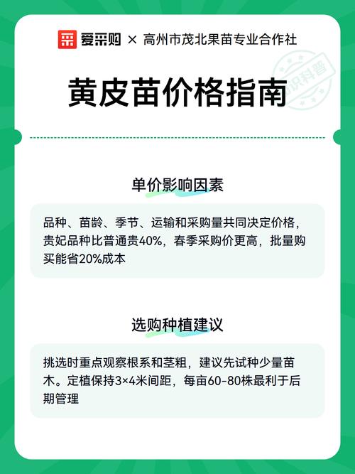 黄皮苗多少钱一棵?2025年最新价格参考与影响因素详解 咨询指南:按需询价,获取精准报价