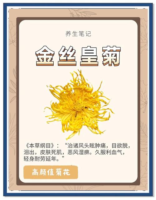 菊花是干什么的?一篇文章读懂菊花的观赏价值与养护密码 盆栽/地栽选择决策:三个核心判断标准