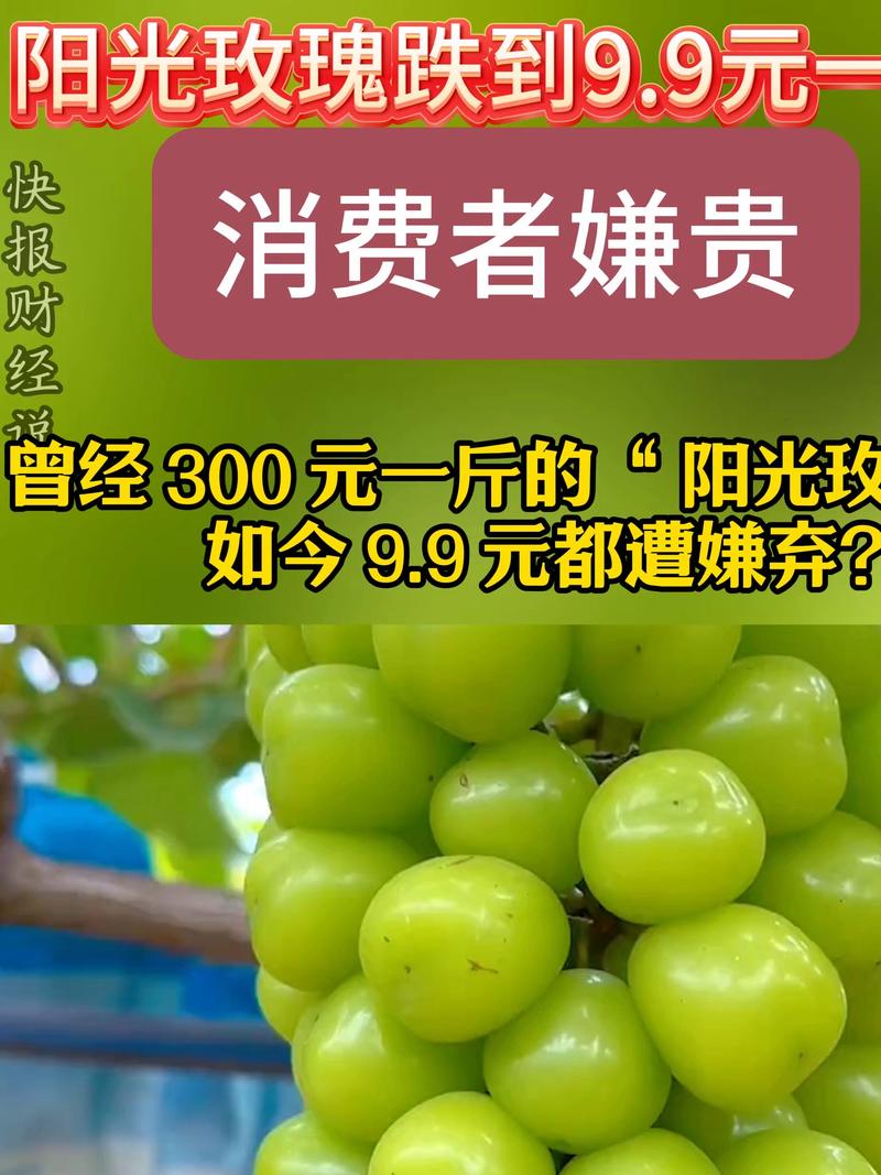 阳光玫瑰葡萄苗多少钱一株?2026年最新市场行情与价格影响因素全解析 数量影响价格:批发价是零售价的一半,团购更划算