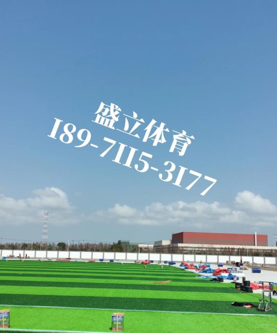 人造草坪多少钱一平？规格、用途与填充物影响报价