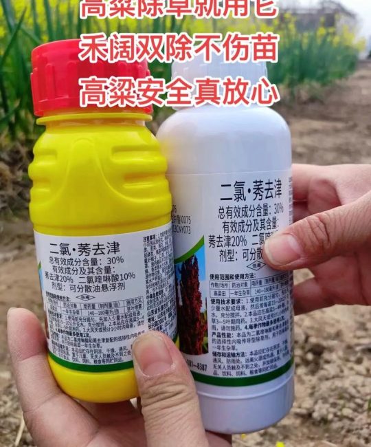 有高粱除草剂吗？园艺种植中高粱除草完全指南