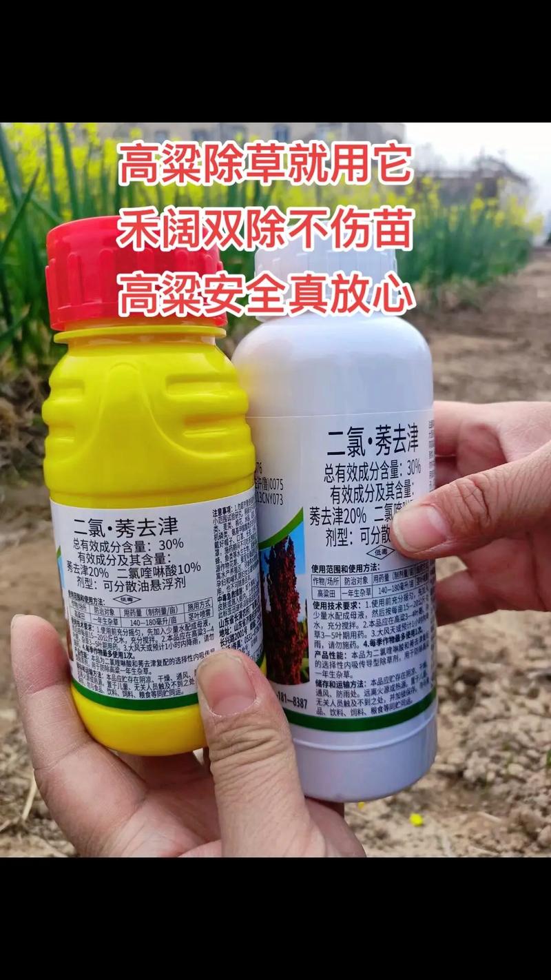 有高粱除草剂吗?园艺种植中高粱除草完全指南 有高粱除草剂吗?一篇讲透高粱田除草的所有关键