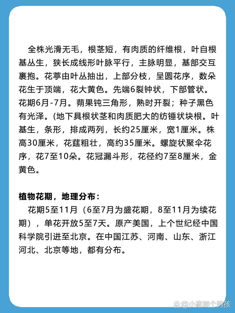 金娃娃萱草采购指南:如何科学筛选优质苗圃,避开品种与质量陷阱 第四步:运输与装车规范——别让好苗毁在路上