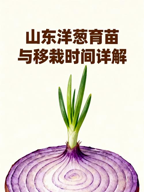 过冬洋葱什么时候栽苗?最佳时间与栽种全攻略 过冬洋葱的最佳栽苗时间