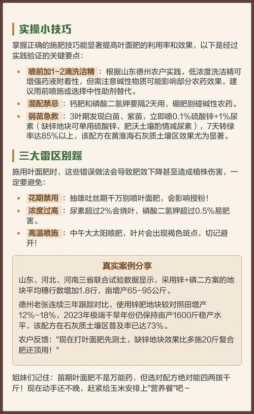 苗期用什么叶面肥?正确选择与施用全攻略 四、苗期叶面肥施用技巧