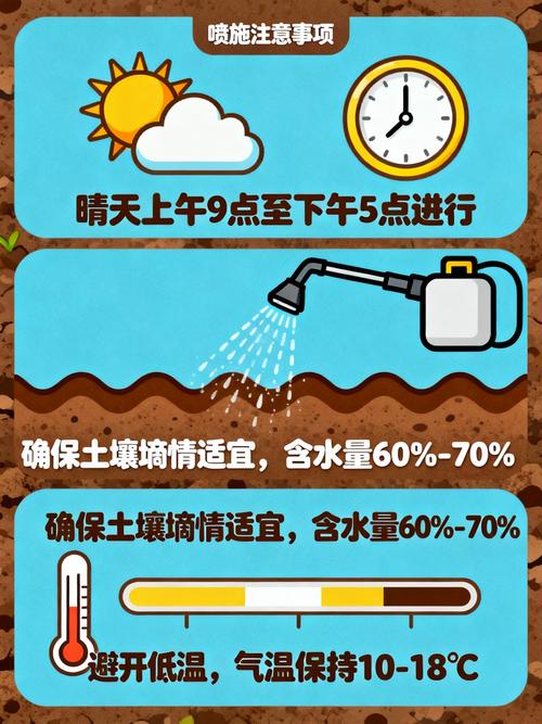 苗期用什么叶面肥?正确选择与施用全攻略 结语