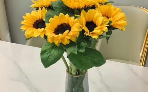 水养插花什么花比较好？推荐这10种好养又耐看的切花