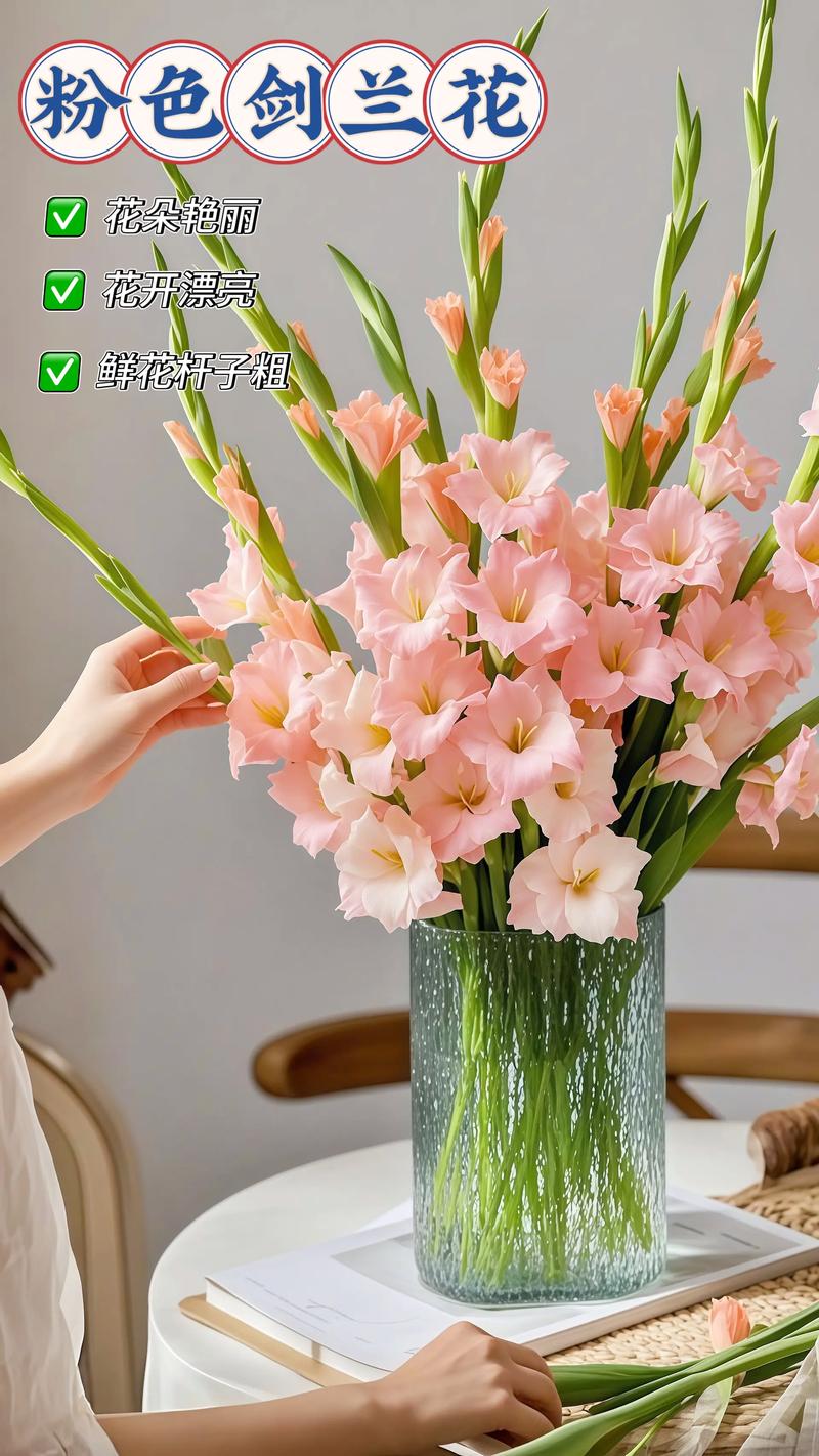 水养插花什么花比较好?推荐这10种好养又耐看的切花 四、小众但惊艳型:让客厅瞬间提气