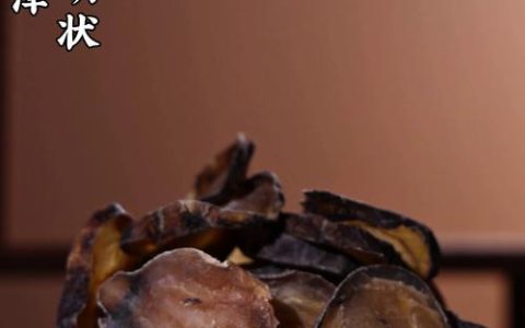 附子种子用量详解：一亩地该播多少才合适？