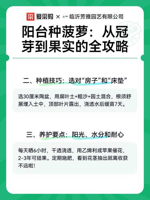 五、浇定根水