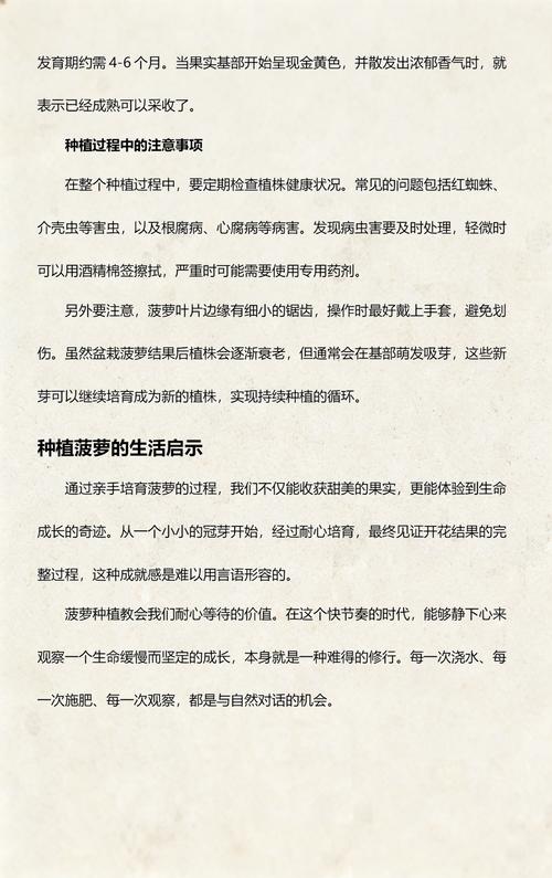 三、栽前处理