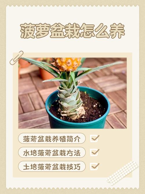 七、成活注意事项