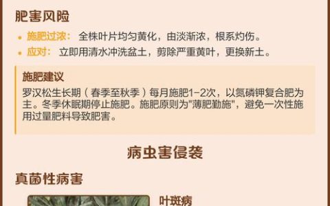 罗汉松叶子发黄干枯是什么原因？专家教你4步排查与解决