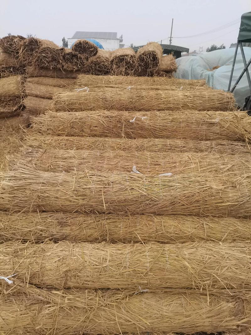 价格快速参考