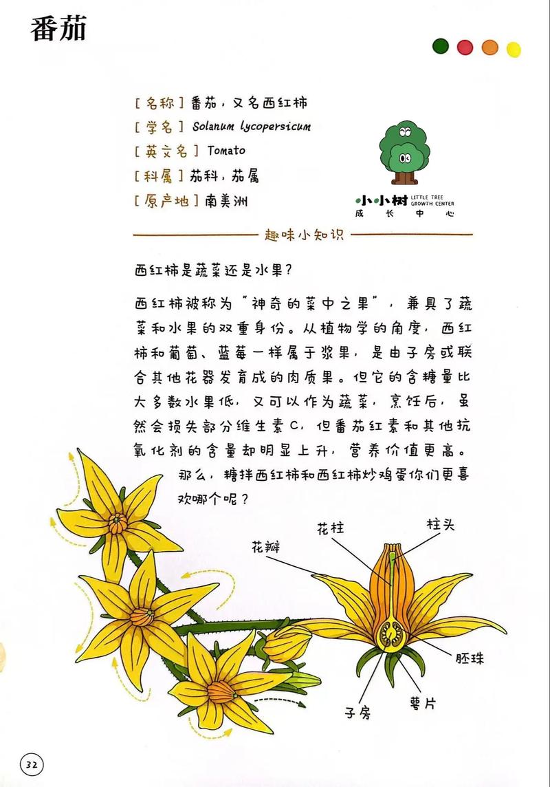 植物的共同特征有哪些?一年级小朋友也能看懂的科普 植物会开花、结果、产生种子