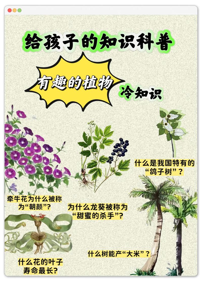 植物的共同特征有哪些?一年级小朋友也能看懂的科普 植物的身体不能自由移动