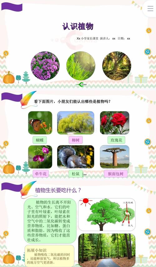 植物的共同特征有哪些?一年级小朋友也能看懂的科普 植物会生长,也会死亡