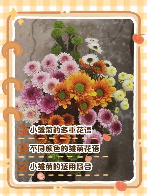 雏菊花象征什么意义?从文化寓意到家庭养护全攻略 修剪促花系统指导