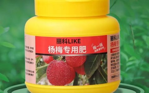杨梅树用什么肥料最好？家庭种植全攻略
