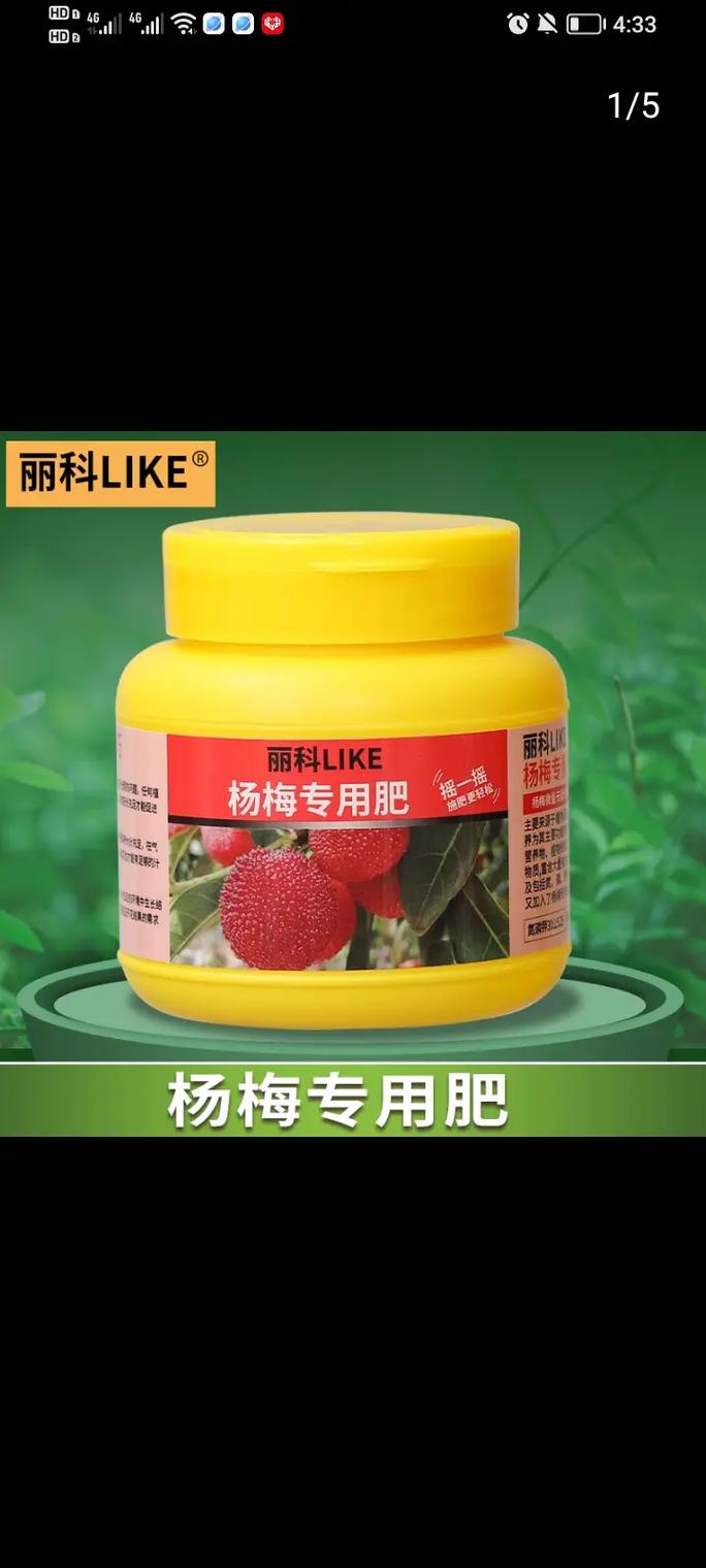杨梅树用什么肥料最好?家庭种植全攻略 杨梅树用什么肥料最好?家庭种植全攻略