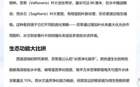 苦草繁殖快吗？解析沉水植物之王的分株、种子与根茎扩繁速率