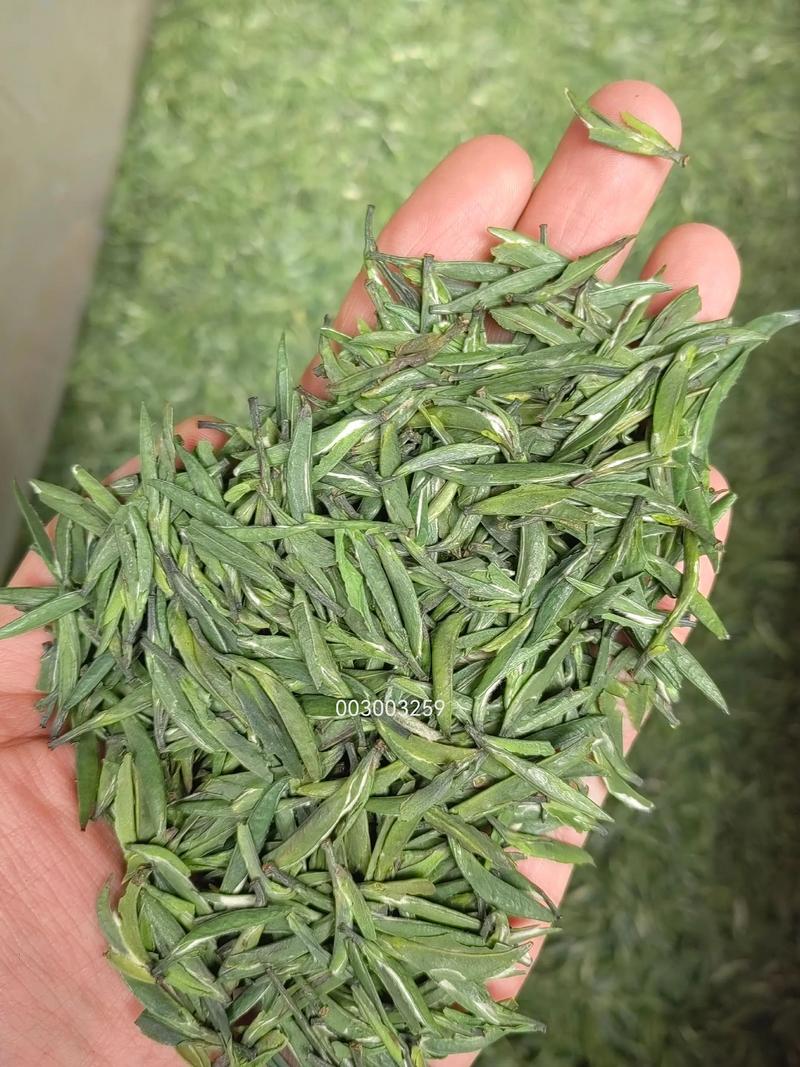 雀舌是毛尖的一种吗?——解开茶叶分类的迷思 什么是毛尖?