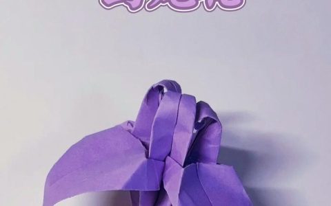 鸢尾花怎么折：从花型结构到分株修剪的完整园艺指南