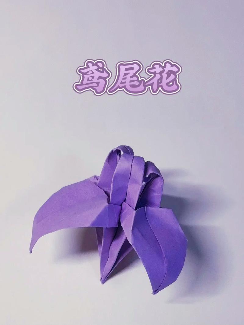 鸢尾花怎么折:从花型结构到分株修剪的完整园艺指南 鸢尾品种基础档案